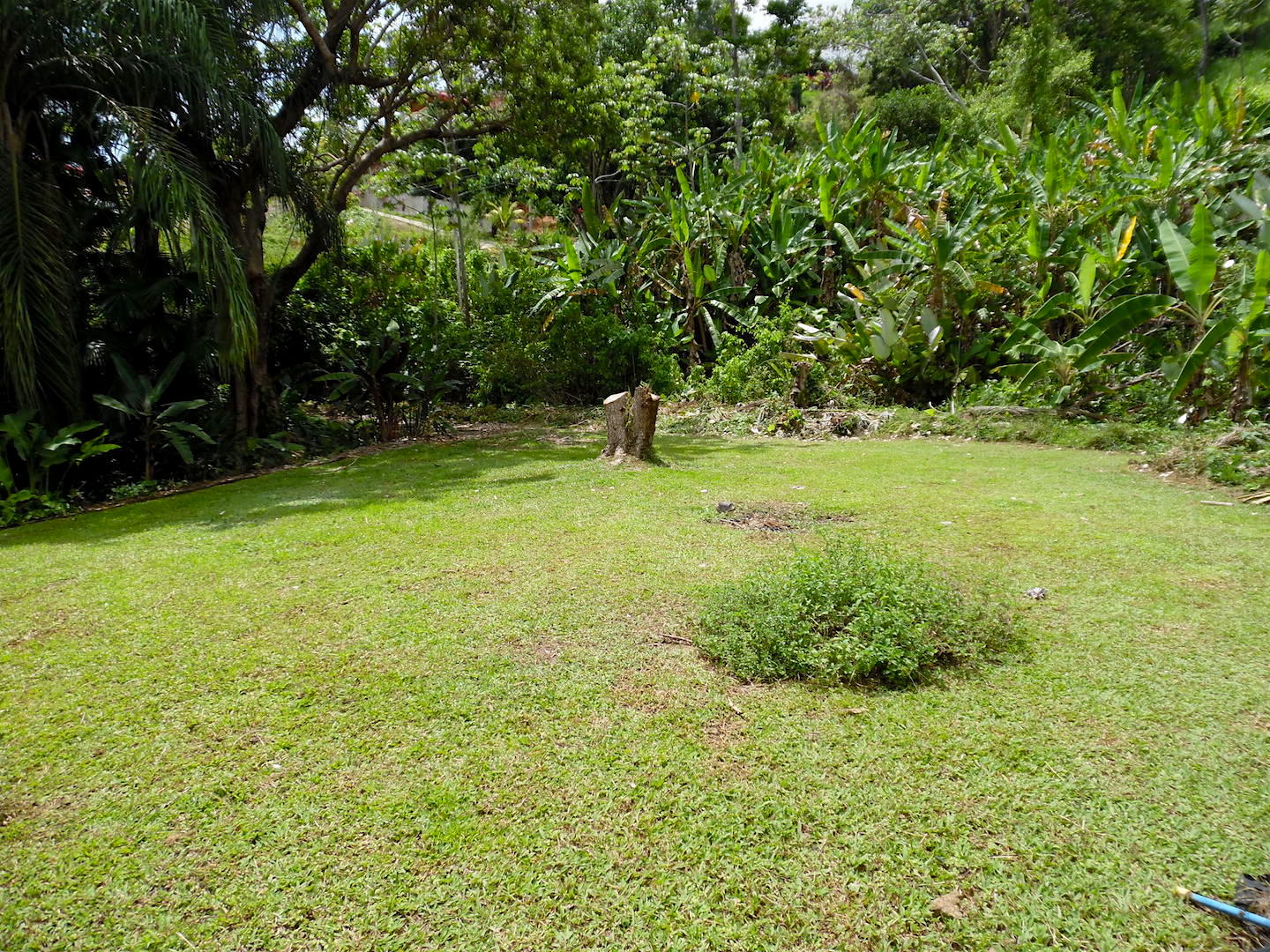3 bed Single Family Homes For Sale in Ojochal, Puntarenas - thumb 19