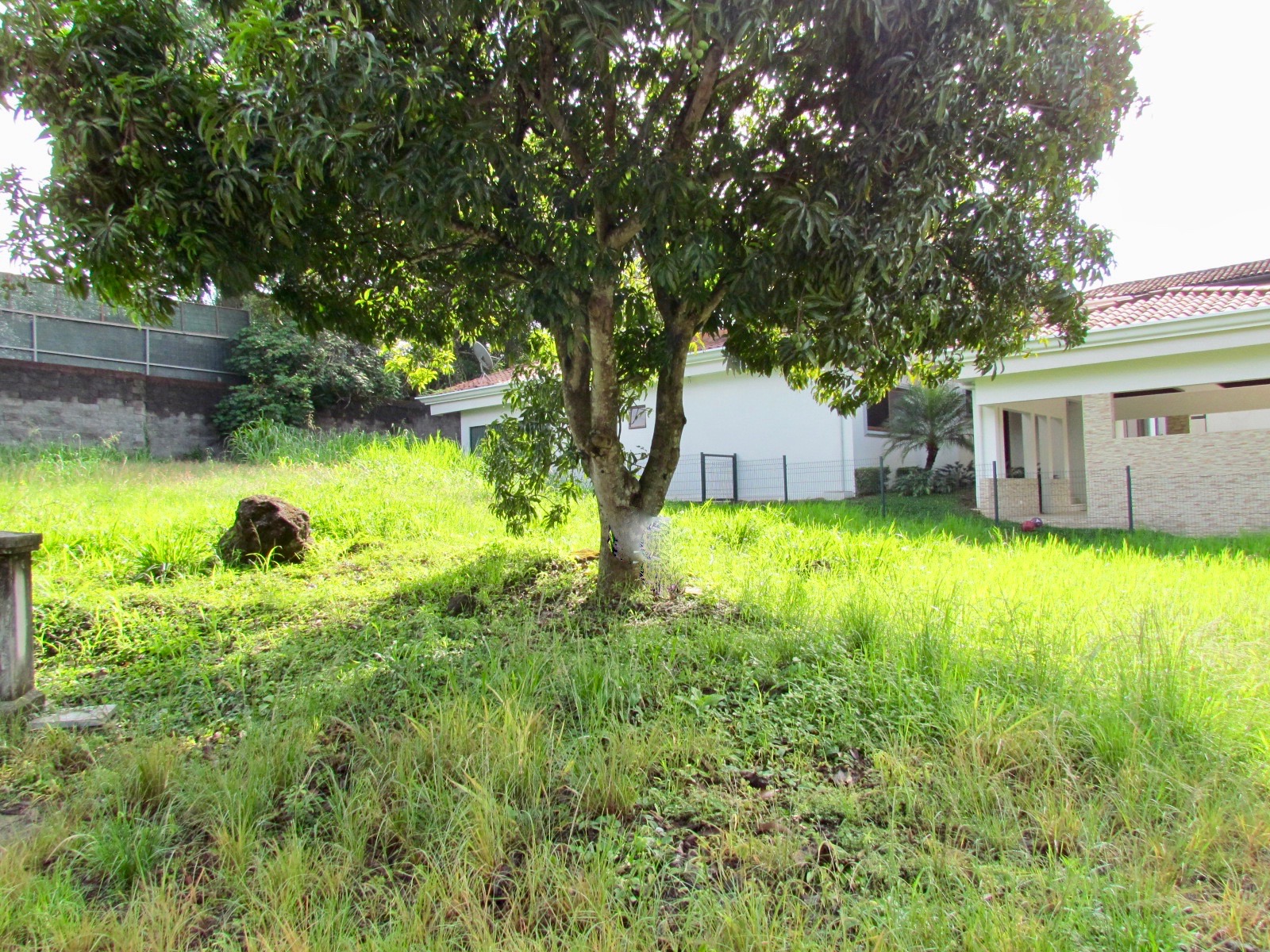 0 bed Land For Sale in Brasil De Mora, San Jose - thumb 13