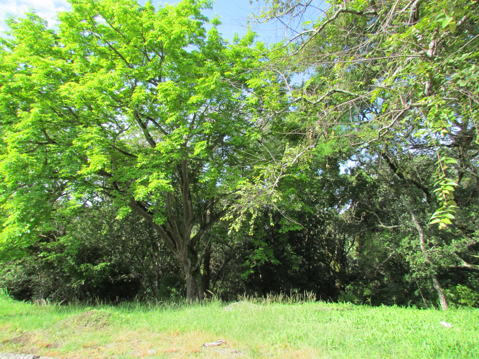 0 bed Land For Sale in Brasil De Mora, San Jose - thumb 10
