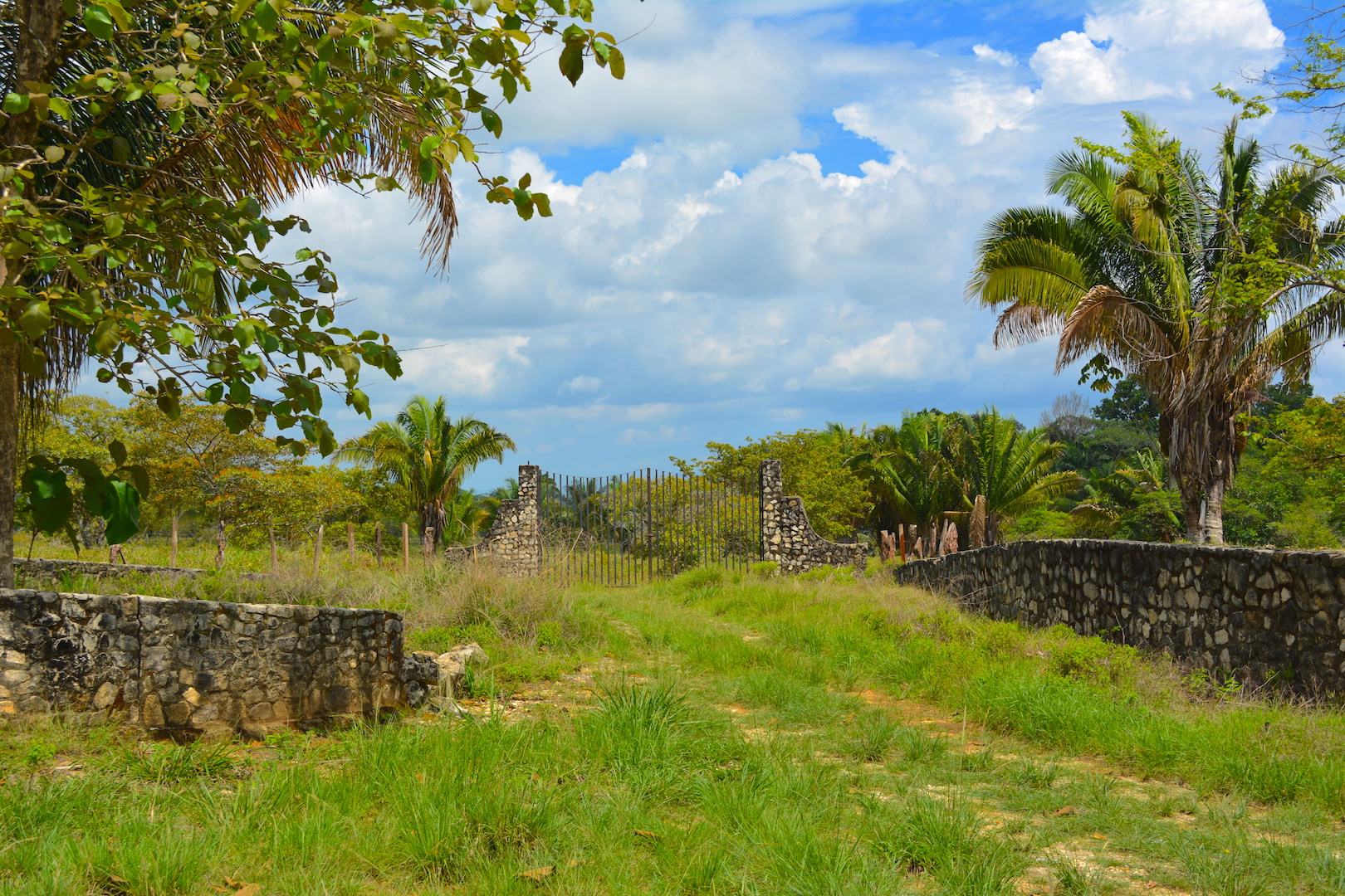 0 bed Land For Sale in Ciudad Cortes, Puntarenas - thumb 3