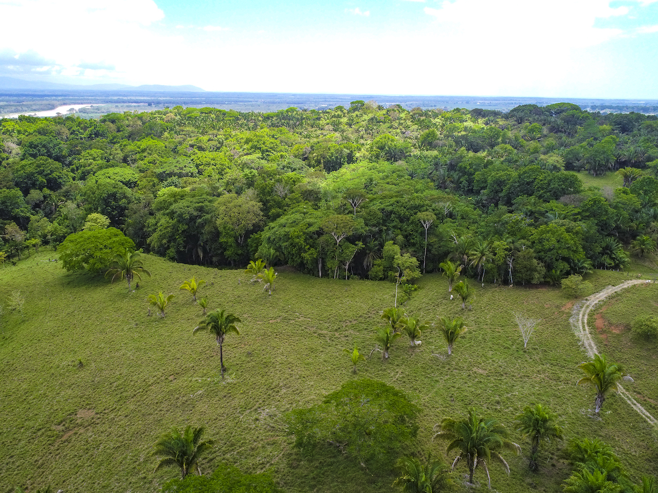 0 bed Land For Sale in Ciudad Cortes, Puntarenas - thumb 15