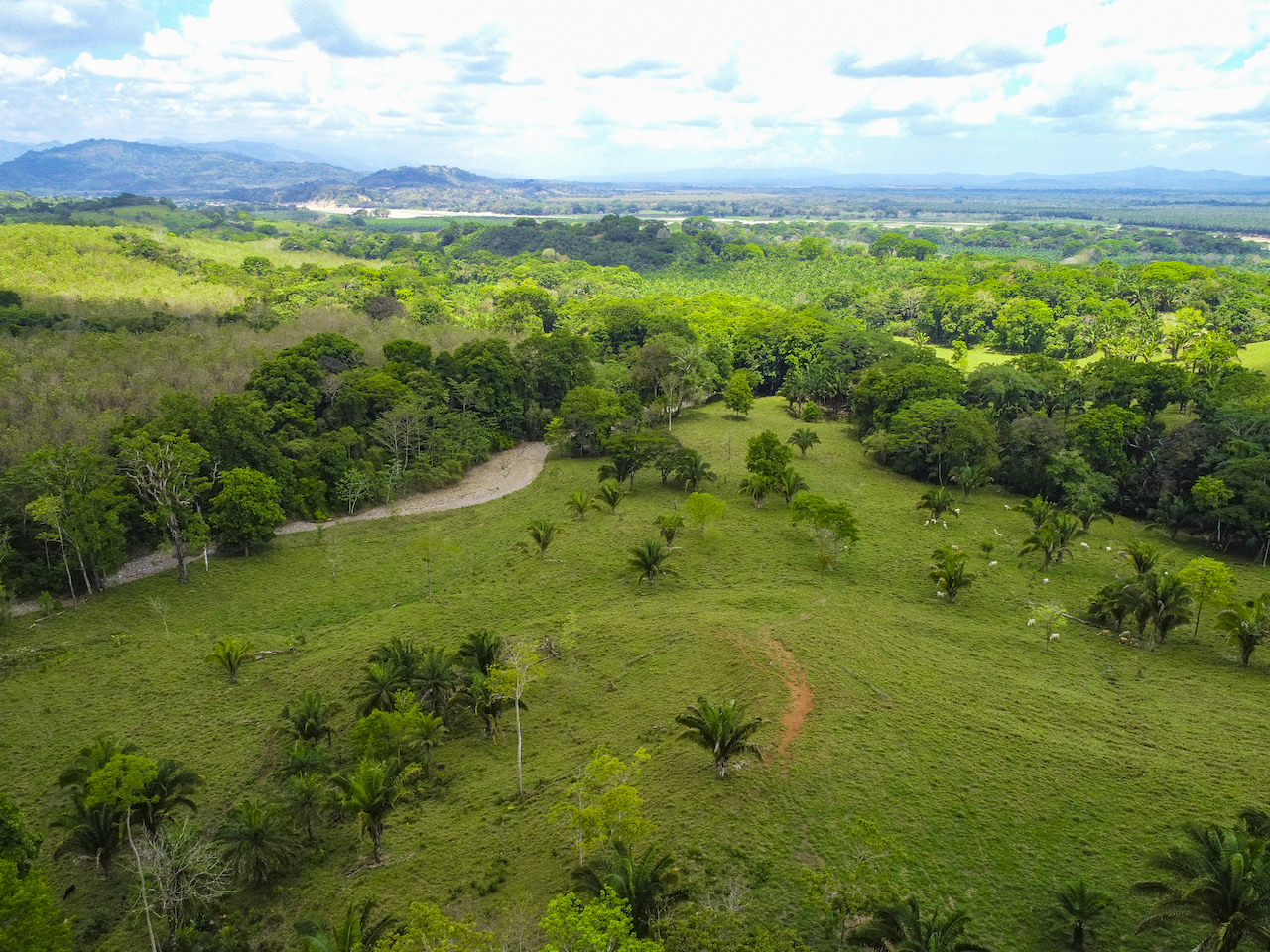 0 bed Land For Sale in Ciudad Cortes, Puntarenas - thumb 7