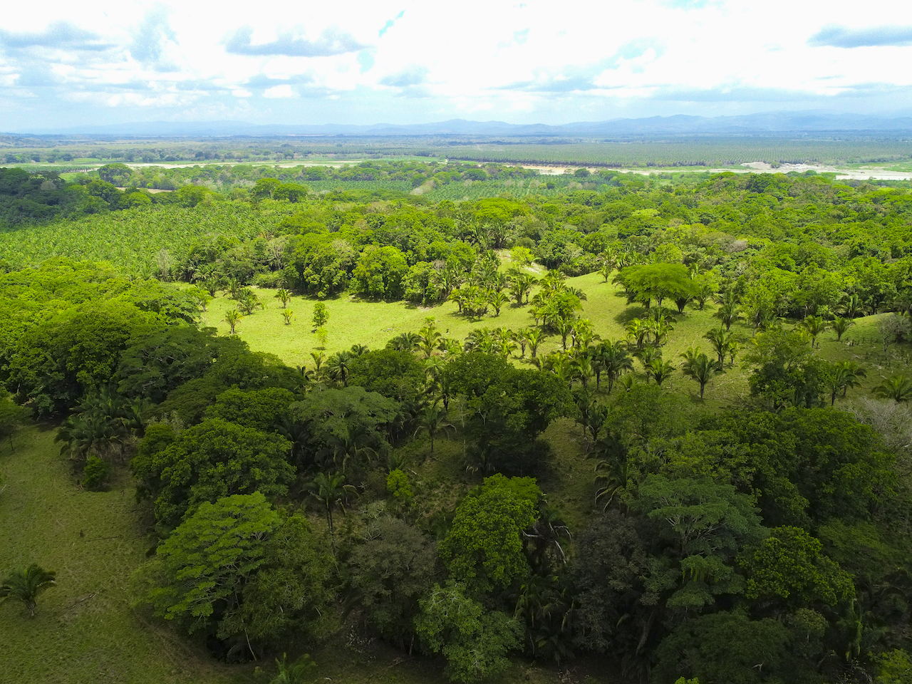 0 bed Land For Sale in Ciudad Cortes, Puntarenas - thumb 9