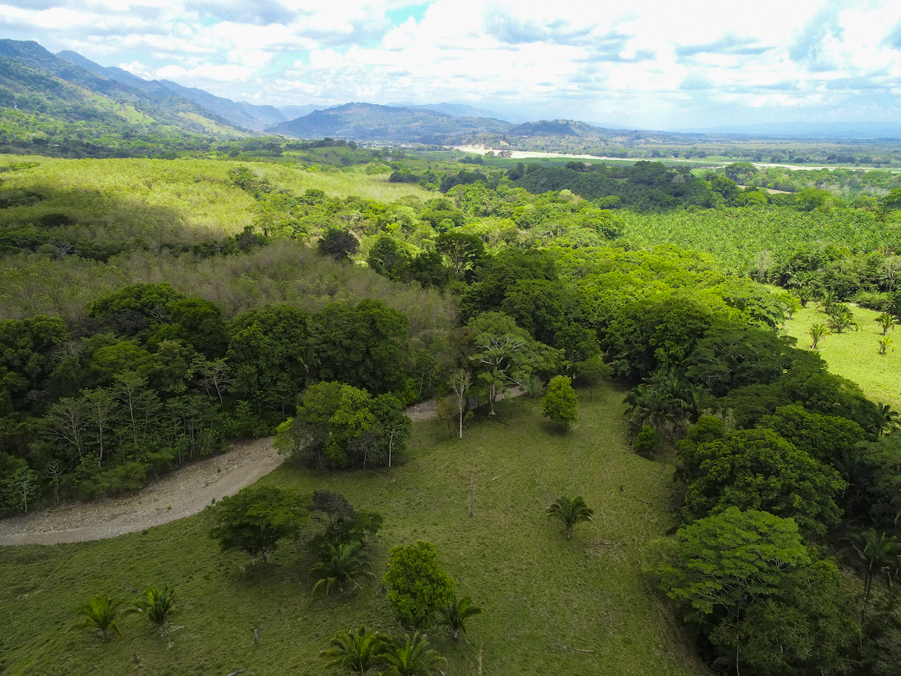 0 bed Land For Sale in Ciudad Cortes, Puntarenas - thumb 11