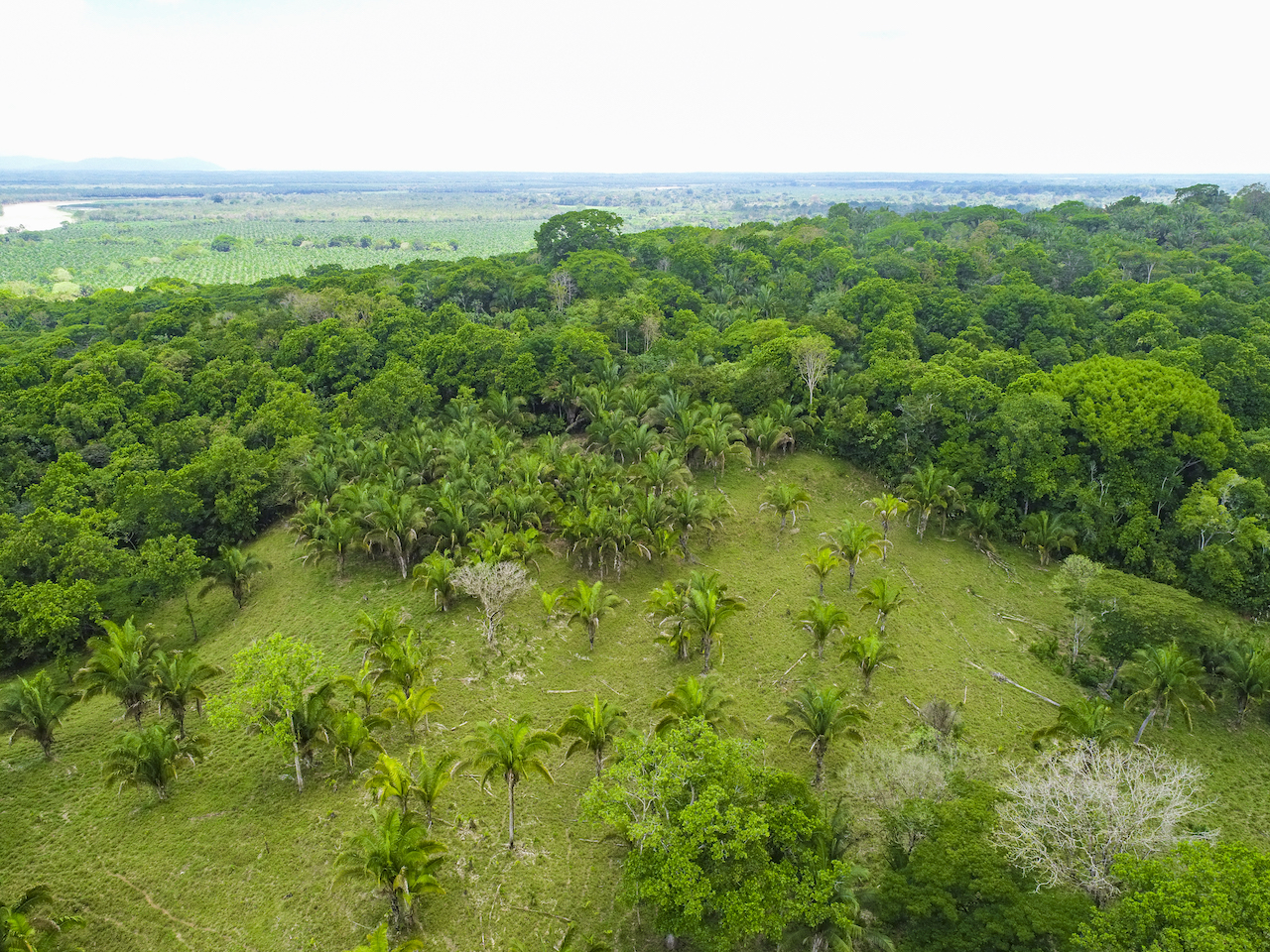 0 bed Land For Sale in Ciudad Cortes, Puntarenas - thumb 12
