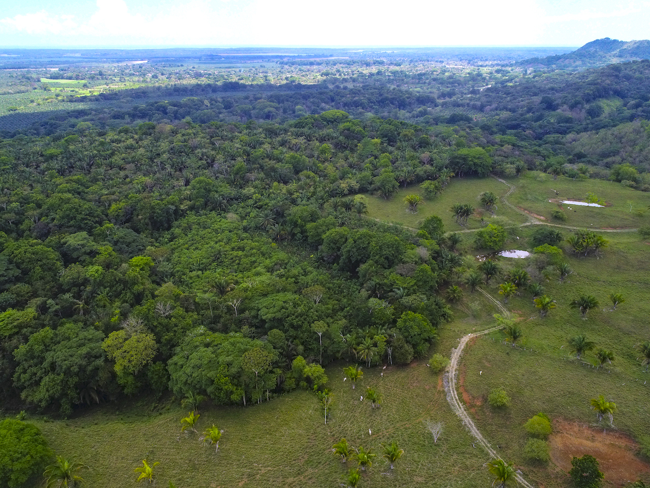 0 bed Land For Sale in Ciudad Cortes, Puntarenas - thumb 14