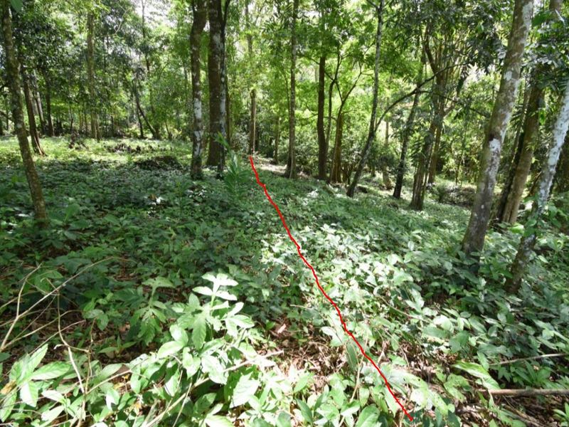 0 bed Land For Sale in Ojochal, Puntarenas - 1