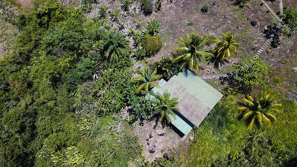 6 bed Single Family Homes For Sale in Dominical, Puntarenas - thumb 23