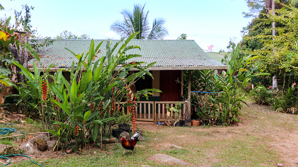 6 bed Single Family Homes For Sale in Dominical, Puntarenas - thumb 19