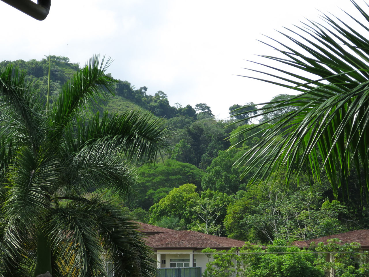2 bed Condo For Sale in Herradura, Puntarenas - thumb 18