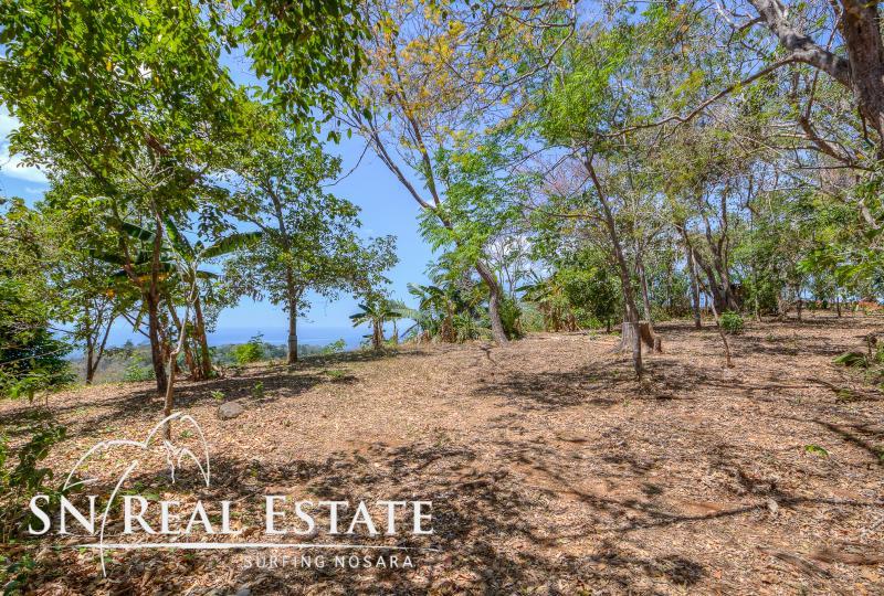 0 bed Land For Sale in Nosara, Guanacaste - thumb 11