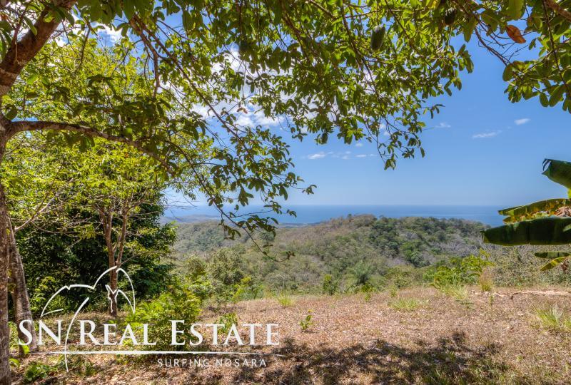 0 bed Land For Sale in Nosara, Guanacaste - thumb 12