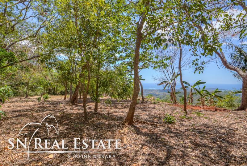 0 bed Land For Sale in Nosara, Guanacaste - thumb 9