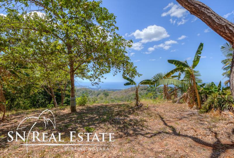 0 bed Land For Sale in Nosara, Guanacaste - thumb 10