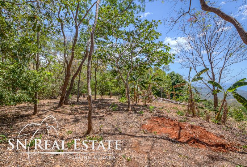 0 bed Land For Sale in Nosara, Guanacaste - thumb 6