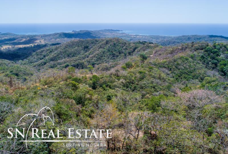 0 bed Land For Sale in Nosara, Guanacaste - thumb 14