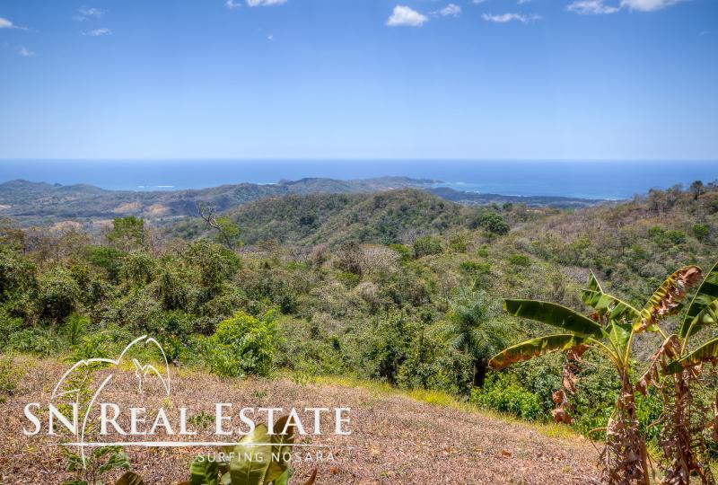 0 bed Land For Sale in Nosara, Guanacaste - thumb 4