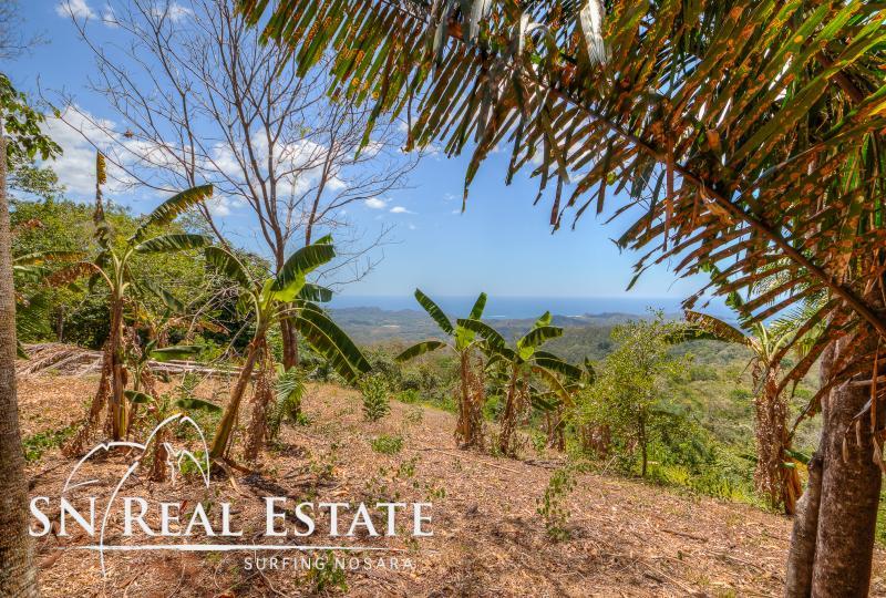 0 bed Land For Sale in Nosara, Guanacaste - thumb 5