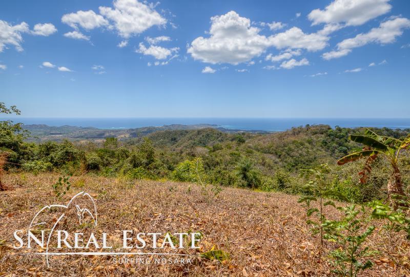 0 bed Land For Sale in Nosara, Guanacaste - thumb 3