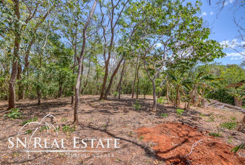 0 bed Land For Sale in Nosara, Guanacaste - thumb 8
