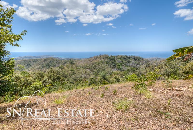 0 bed Land For Sale in Nosara, Guanacaste - thumb 1