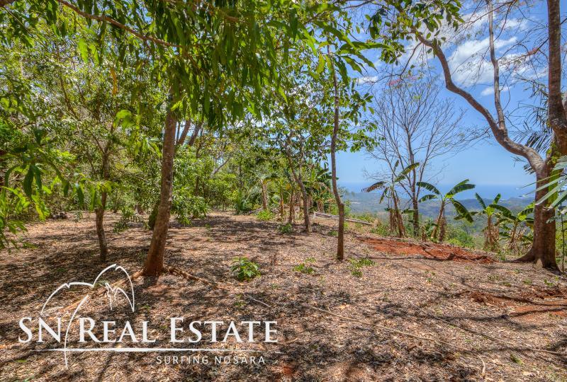 0 bed Land For Sale in Nosara, Guanacaste - thumb 7