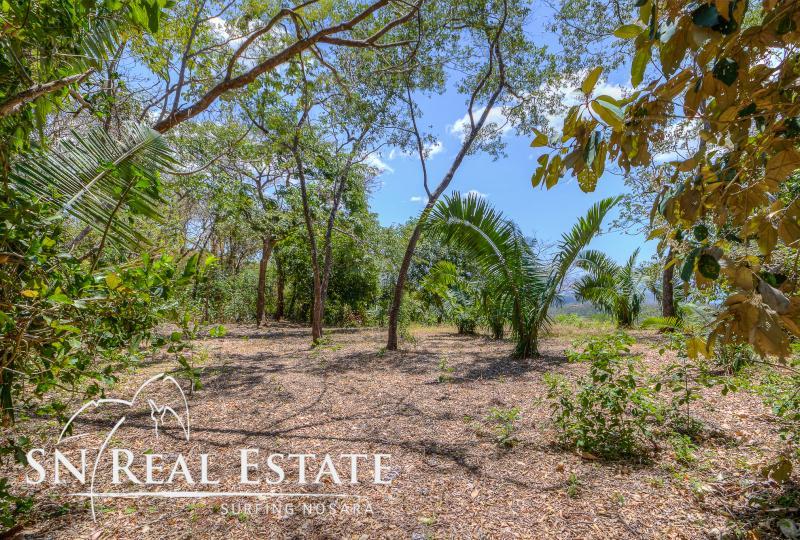 0 bed Land For Sale in Nosara, Guanacaste - thumb 6
