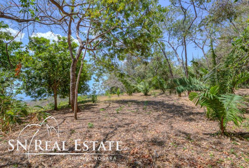 0 bed Land For Sale in Nosara, Guanacaste - thumb 7