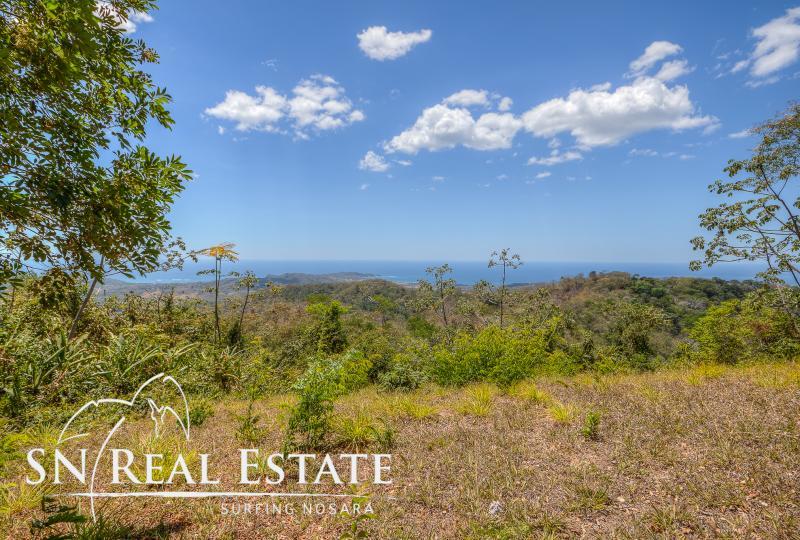 0 bed Land For Sale in Nosara, Guanacaste - thumb 1