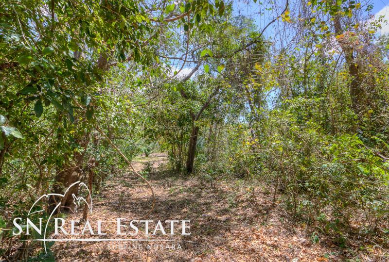 0 bed Land For Sale in Nosara, Guanacaste - thumb 10