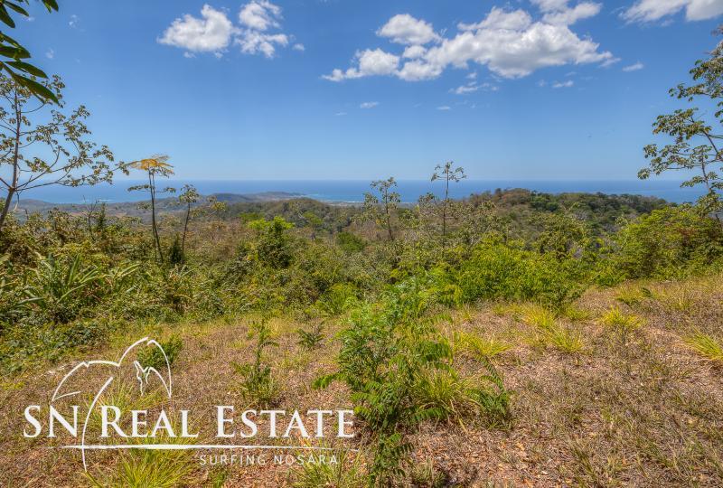 0 bed Land For Sale in Nosara, Guanacaste - thumb 3