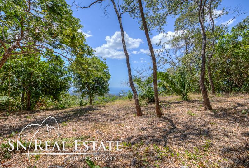 0 bed Land For Sale in Nosara, Guanacaste - thumb 5