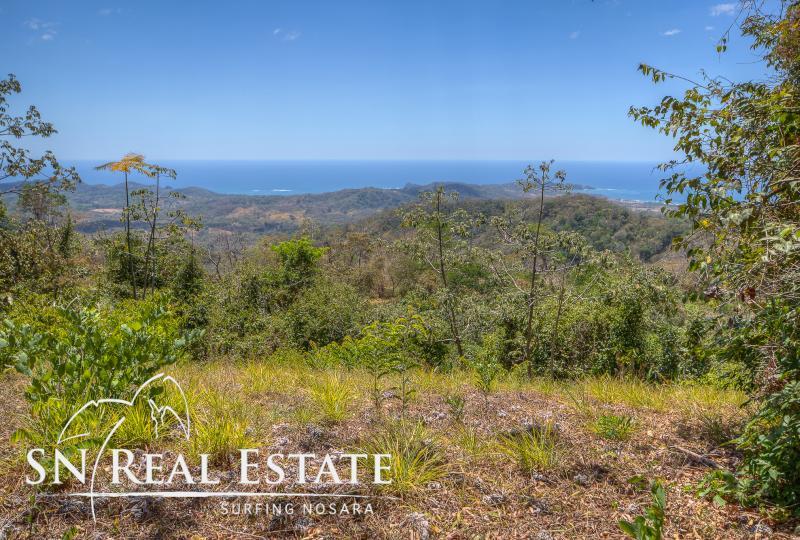0 bed Land For Sale in Nosara, Guanacaste - thumb 2