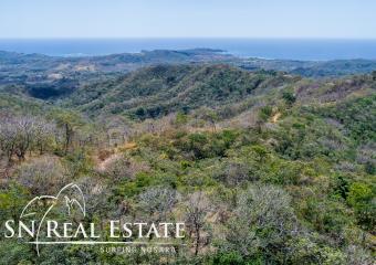 0 bed Land For Sale in Nosara, Guanacaste - thumb 4