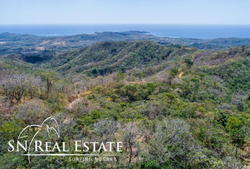 0 bed Land For Sale in Nosara, Guanacaste - thumb 11
