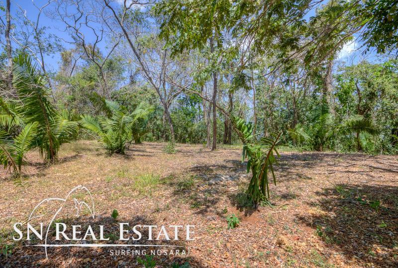0 bed Land For Sale in Nosara, Guanacaste - thumb 9