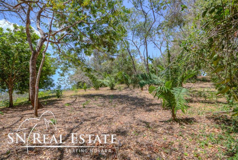 0 bed Land For Sale in Nosara, Guanacaste - thumb 8
