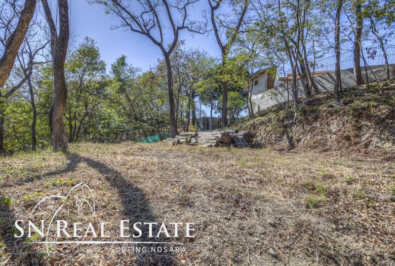 0 bed Land For Sale in Nosara, Guanacaste - thumb 14