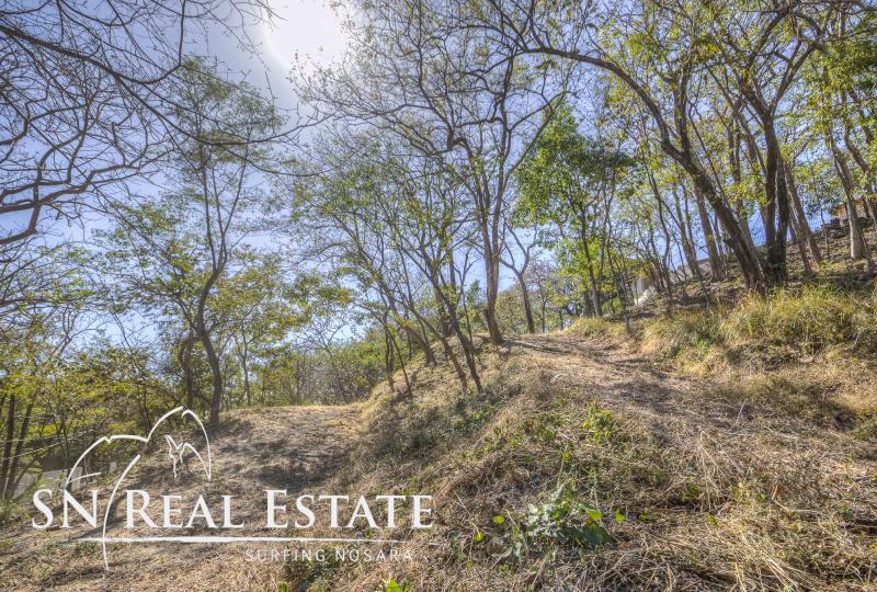 0 bed Land For Sale in Nosara, Guanacaste - thumb 9