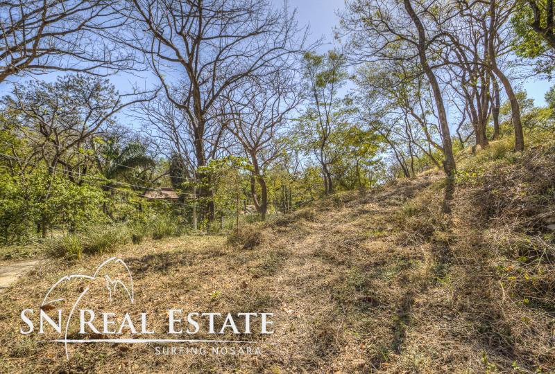 0 bed Land For Sale in Nosara, Guanacaste - thumb 7