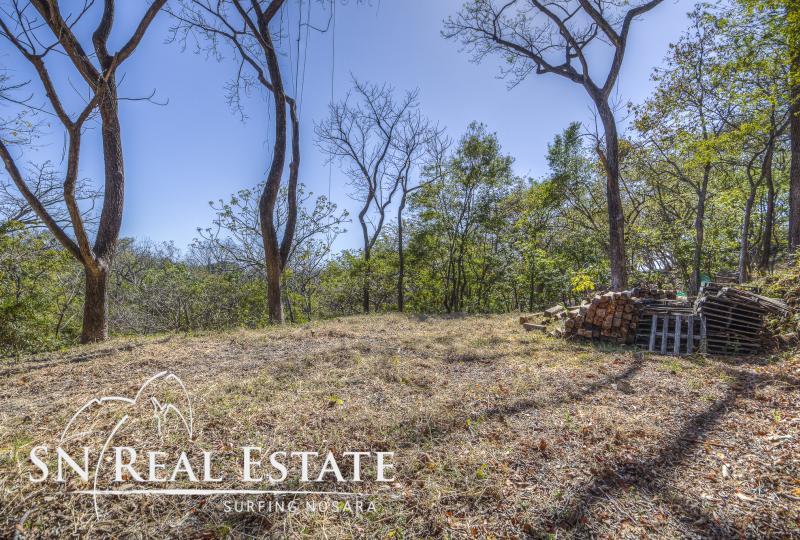 0 bed Land For Sale in Nosara, Guanacaste - thumb 3