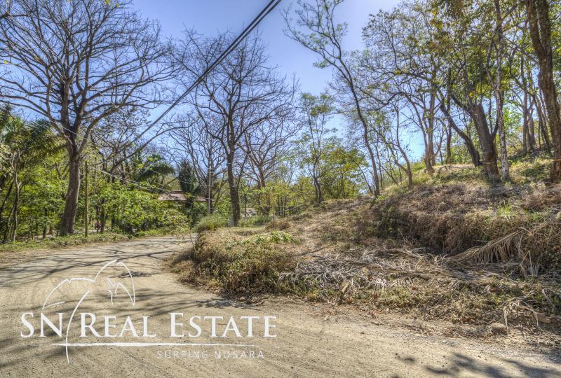 0 bed Land For Sale in Nosara, Guanacaste - thumb 2