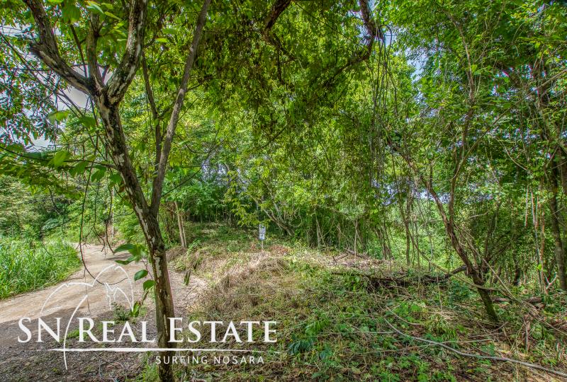 0 bed Land For Sale in Nosara, Guanacaste - thumb 6