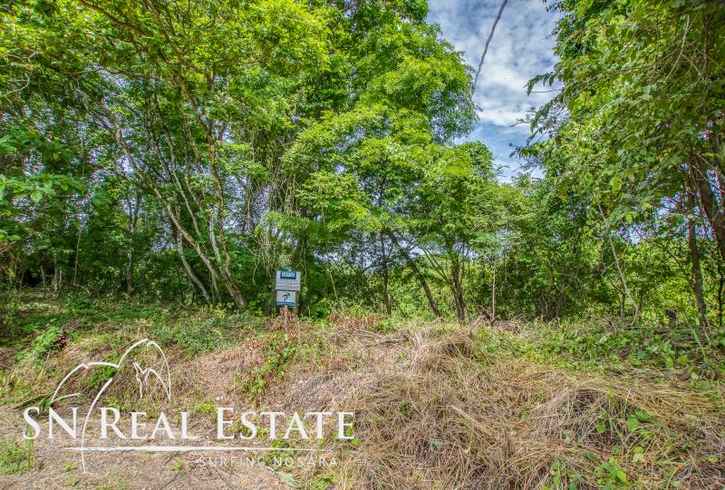 0 bed Land For Sale in Nosara, Guanacaste - thumb 1