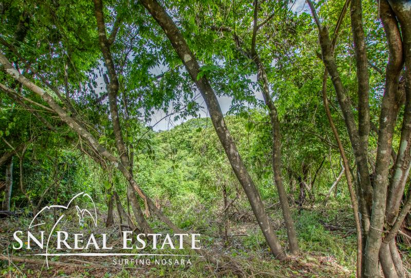 0 bed Land For Sale in Nosara, Guanacaste - thumb 5