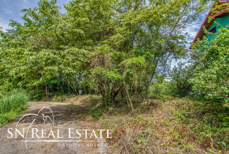 0 bed Land For Sale in Nosara, Guanacaste - thumb 2