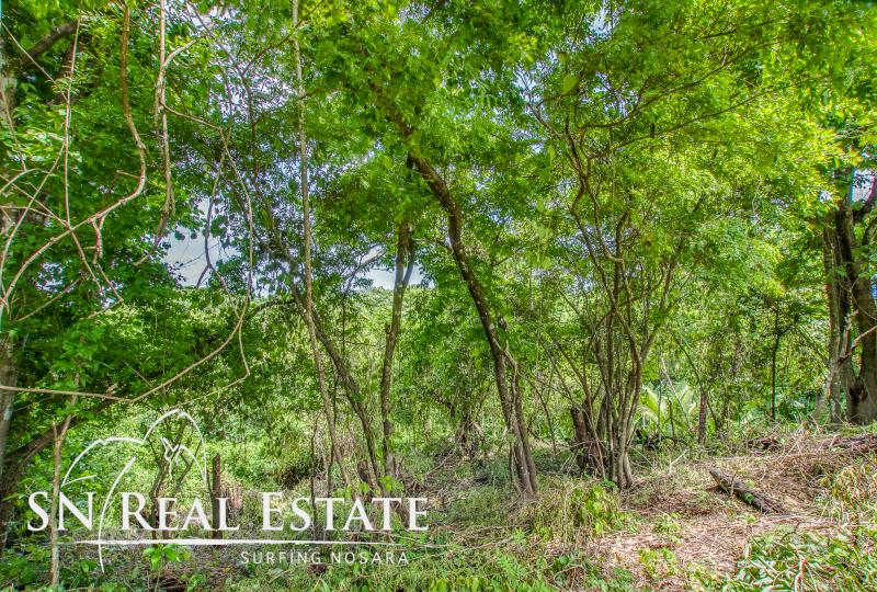 0 bed Land For Sale in Nosara, Guanacaste - thumb 4