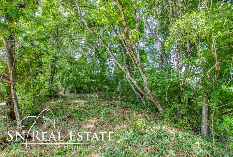 0 bed Land For Sale in Nosara, Guanacaste - thumb 3