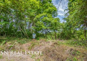 0 bed Land For Sale in Nosara, Guanacaste - thumb 7