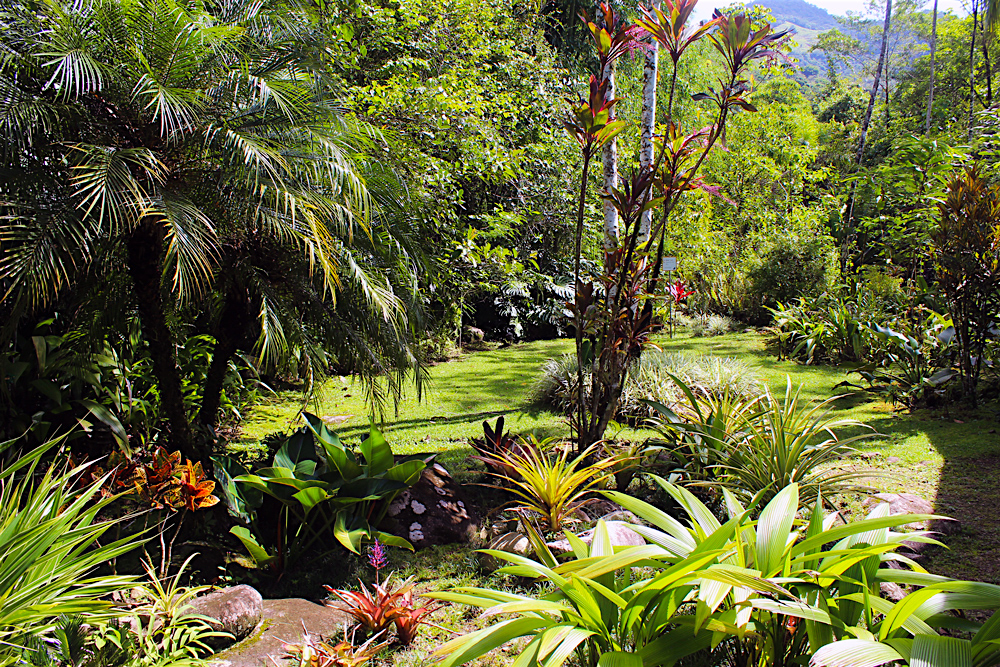 5 bed Hotel / Leisure For Sale in Perez Zeledon, Puntarenas - thumb 25